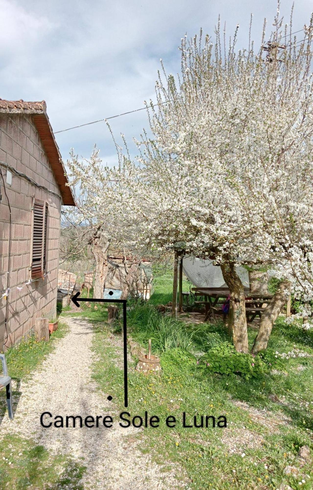 Affittacamere La Casella Monteriggioni Exterior foto